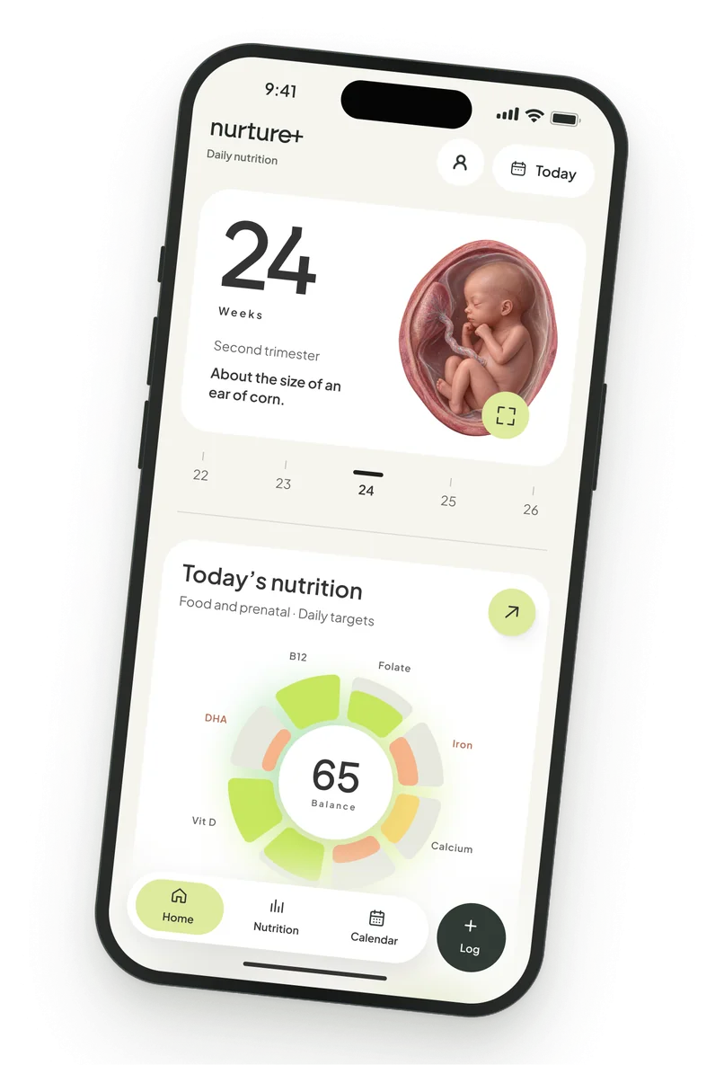 nurture+ home screen at 24 weeks, with the week card and the Today’s nutrition balance dial scoring 65