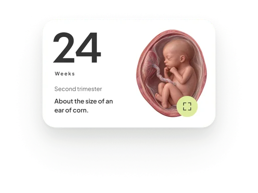 The 24 weeks card kept from direction A