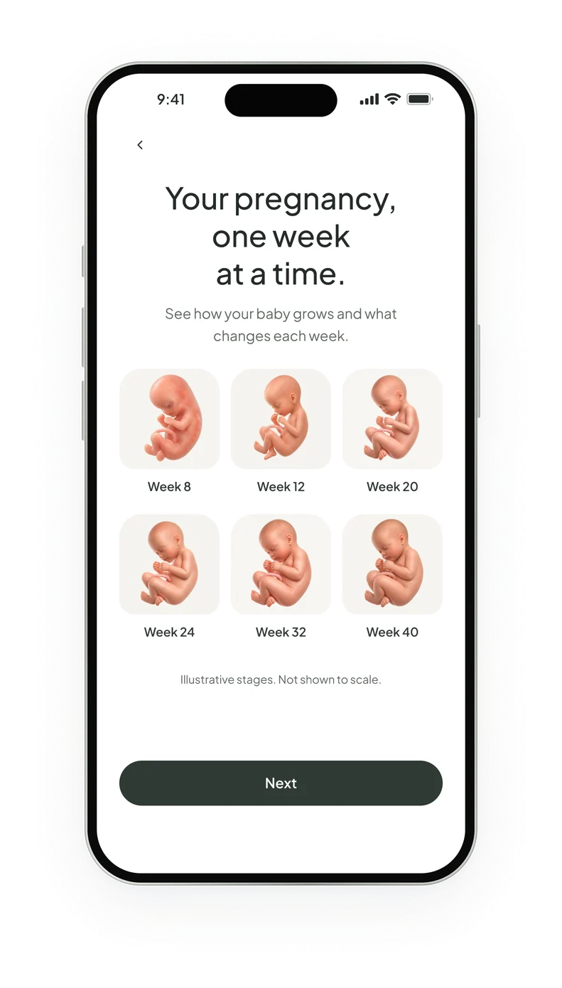 Setup screen: your pregnancy, one week at a time, with illustrations for weeks 8 to 40